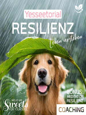 cover image of Resilienz, die 7 Säulen der mentalen Stärke, mit Selbsttest im Hörbuch zur Stärkung deiner inneren Widerstandskraft